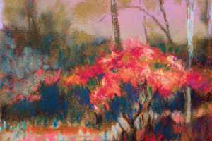 Red Bush I
