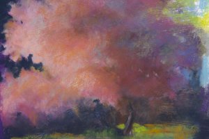 Early Light Apple Tree Early Light Apple Tree